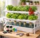 découvrez comment installer facilement un système hydroponique maison pour cultiver vos légumes de manière durable et efficace, même sans jardin.